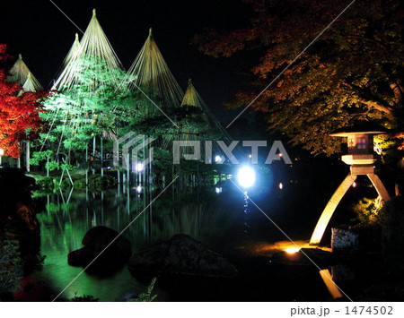 ライトアップ兼六園 1474502