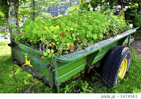 庭園の演出 1474561