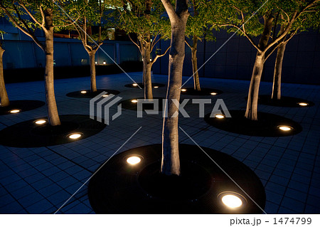 新宿サザンテラス遊歩道の観葉植物ライトアップの写真素材