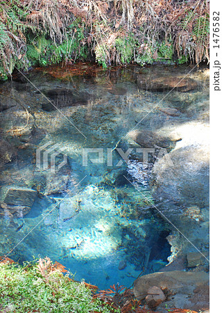 男池 名水百選 男池 名水百選 1476582