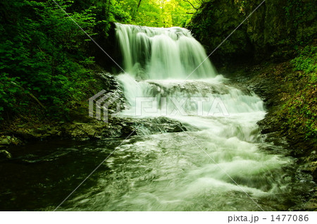 ひんやり 気持ちいい~ ひんやり 気持ちいい~ 1477086