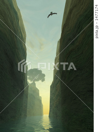 峡谷から臨む朝陽の射す海 1477174