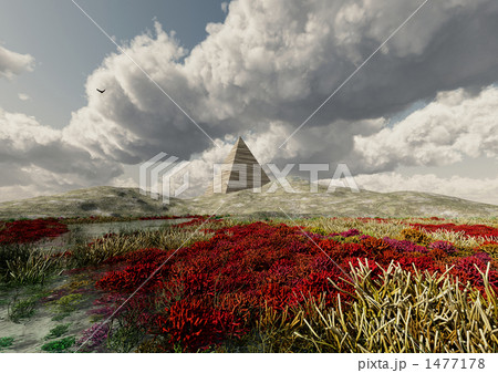 珊瑚礁に囲まれたピラミッドのある丘 1477178