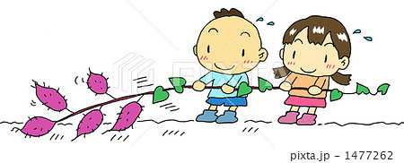 芋ほり 背景なしのイラスト素材