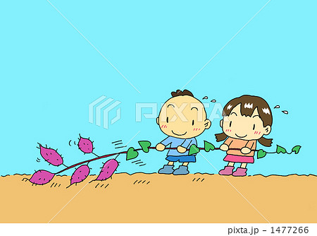 芋ほり　背景あり 1477266