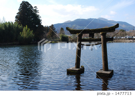 天祖神社 金鱗湖 天祖神社 金鱗湖 1477713