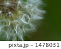 1478031