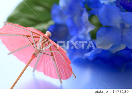 赤い傘と紫陽花 赤い傘と紫陽花 1478180
