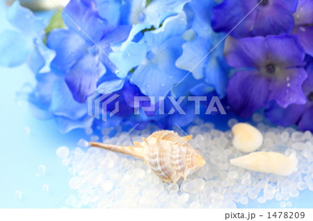 ブルーサマーシェルⅢ 1478209