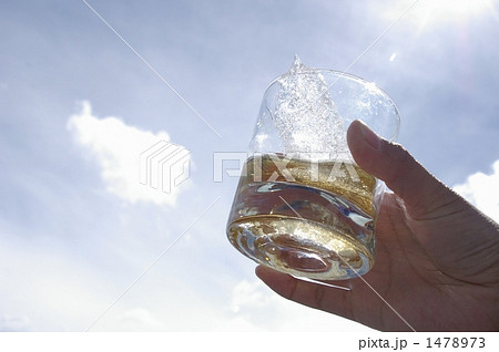 ペリトモレノ氷河の氷で作ったオンザロックで乾杯 ペリトモレノ氷河の氷で作ったオンザロックで乾杯 1478973