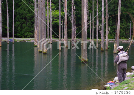 管理釣り場のフライマン 1479256