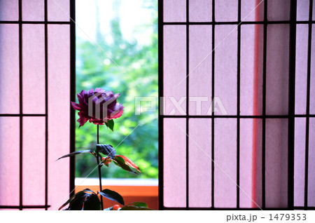 侘び寂び 1479353