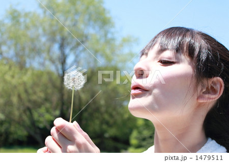 たんぽぽ タンポポ 女性 (カジュアル 女子大生 社会人 外国人 ハーフ 専門学生 大学生) 1479511