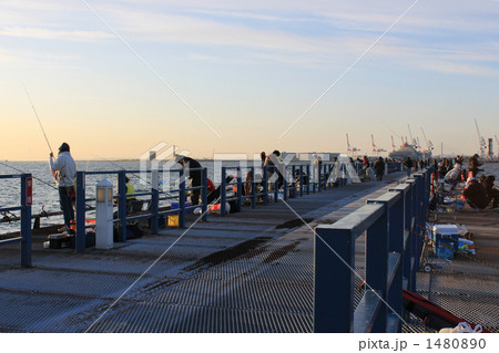 横浜市本牧海づり施設 1480890