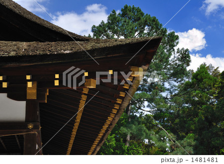 京都へ行こう　世界遺産　上賀茂神社 1481481