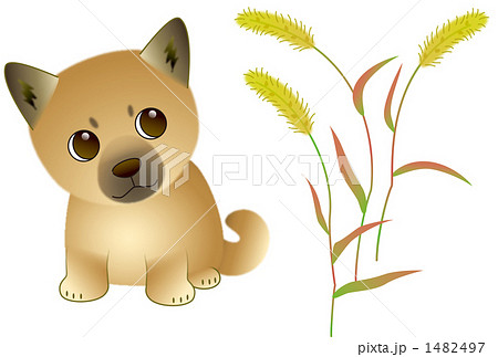 えのころぐさとえのころ 1482497