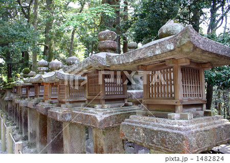 春日大社　石燈篭 1482824