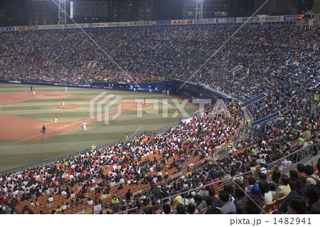 ナイター 1482941