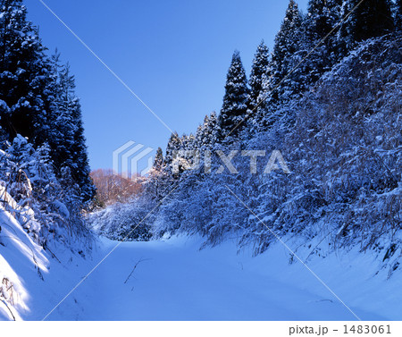 初冬の雪道 初冬の雪道 1483061