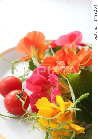 サラダイメージG 1483208