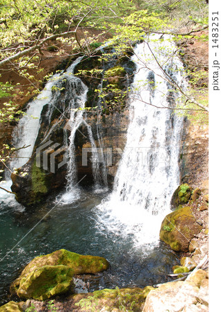 名水の滝 名水の滝 1483251