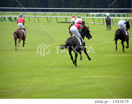 競馬 競馬 1483679