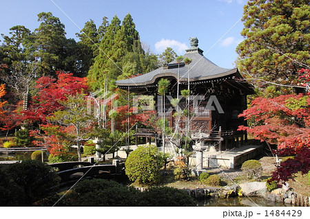 清涼寺弁天堂の秋 1484429