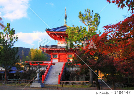 秋の大覚寺二重の塔 秋の大覚寺二重の塔 1484447