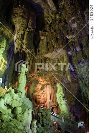 あぶくま洞（滝根御殿） 1485024