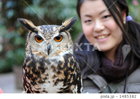 フクロウとツーショット 1485382