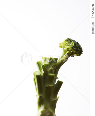 1485670