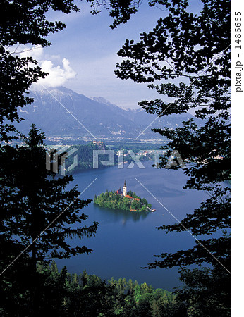 ブレッド湖に浮かぶマリア教会 ブレッド湖に浮かぶマリア教会 1486655