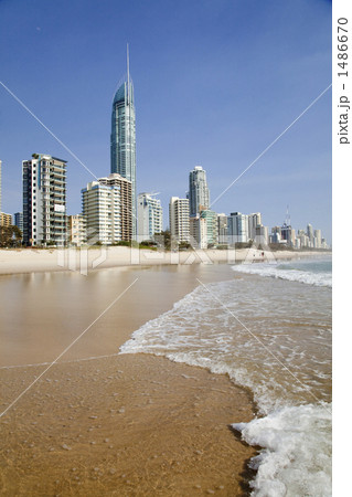 サーファーズパラダイスビーチ サーファーズパラダイスビーチ 1486670