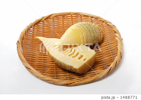 タケノコ タケノコ 1488771