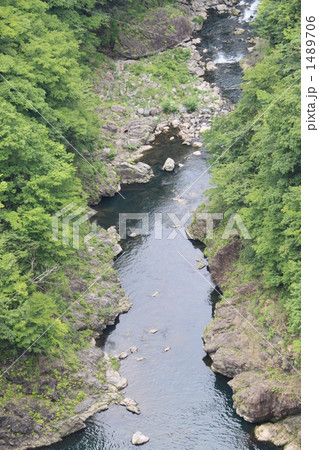 多摩川源流 1489706