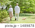 犬と散歩する老夫婦 1489878