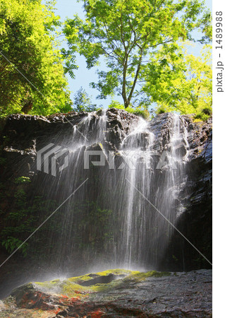 新緑と滝 1489988