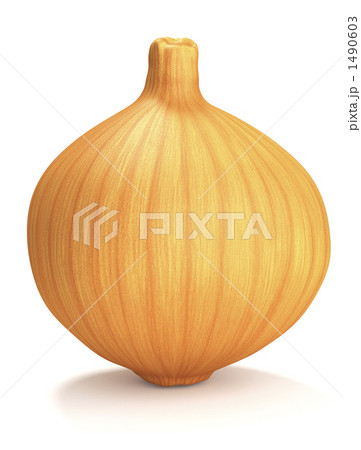 玉ねぎ 1490603