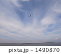 羽田のD滑走路と飛行機 1490870