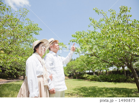 指差しする老夫婦 1490875