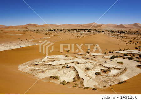 ナミブ沙漠 1491256
