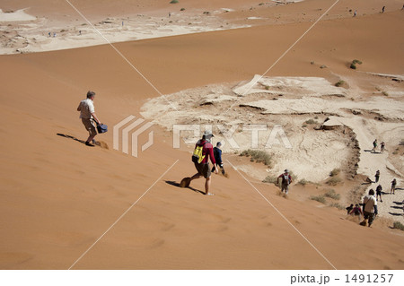 ナミブ沙漠 1491257