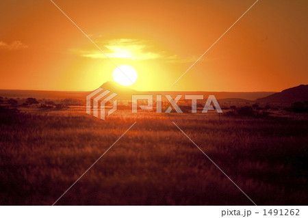 砂漠の夕陽 砂漠の夕陽 1491262