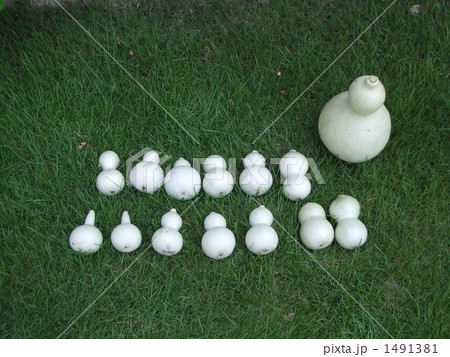 瓢箪 瓢箪 1491381