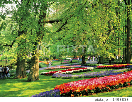 キューケンホフ公園 キューケンホフ公園 1493853