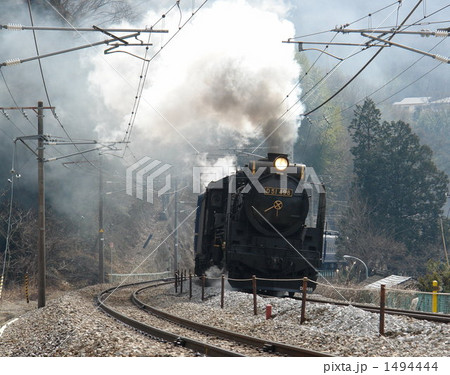 蒸気機関車Ｄ５１　奥利根号 1494444