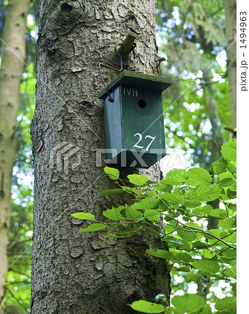 鳥の巣箱 1494963