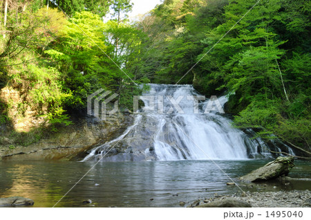 滝と自然 滝と自然 1495040