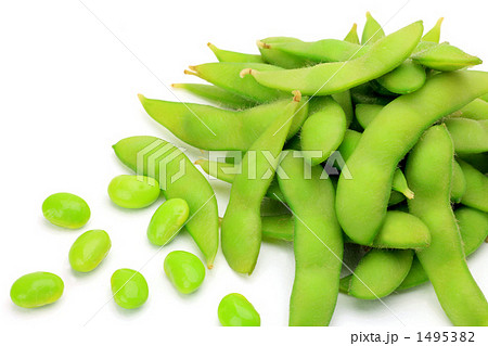 枝豆 1495382