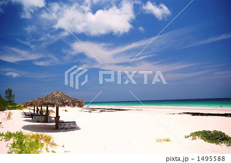 ピンクサンドビーチ ピンクサンドビーチ 1495588